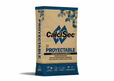 CalciSec PROYECTABLE Gris